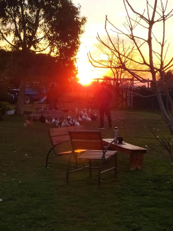 Вилла Finca La Pasionaria - Conectandonos Белен-де-Эскобар Экстерьер фото