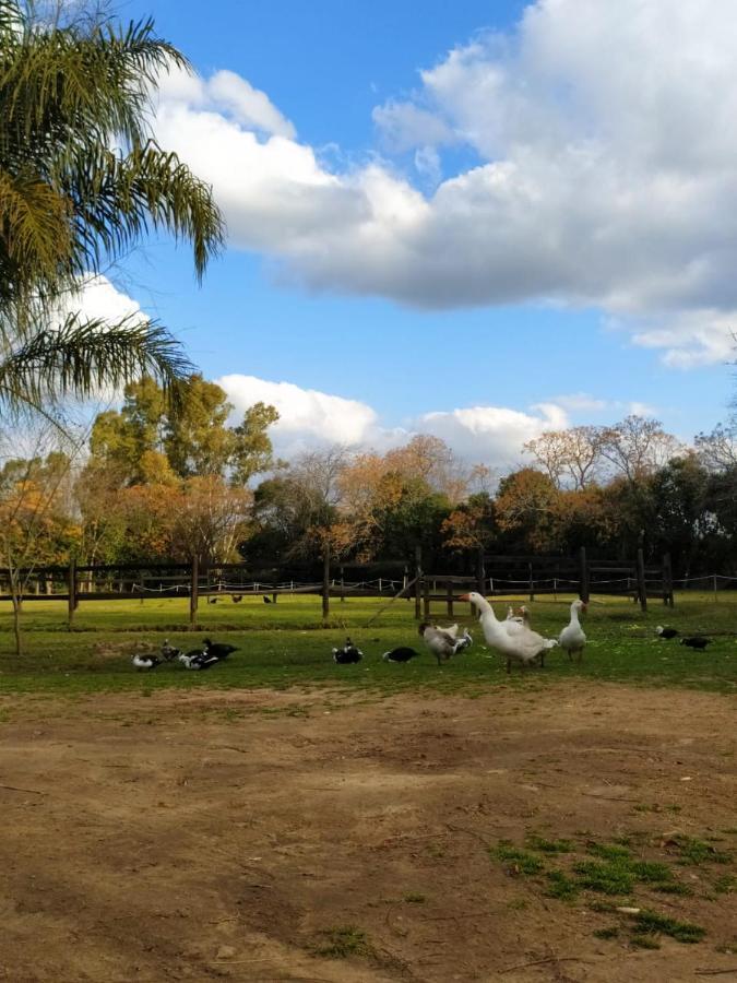 Вилла Finca La Pasionaria - Conectandonos Белен-де-Эскобар Экстерьер фото